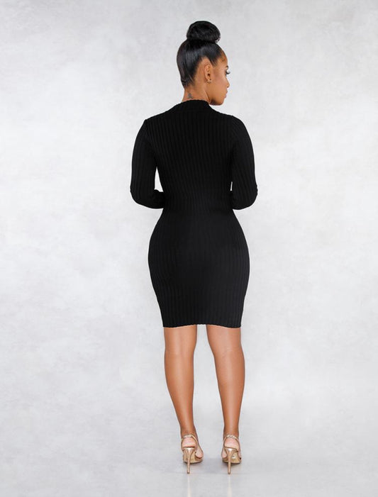 Sweater Fitted Dress